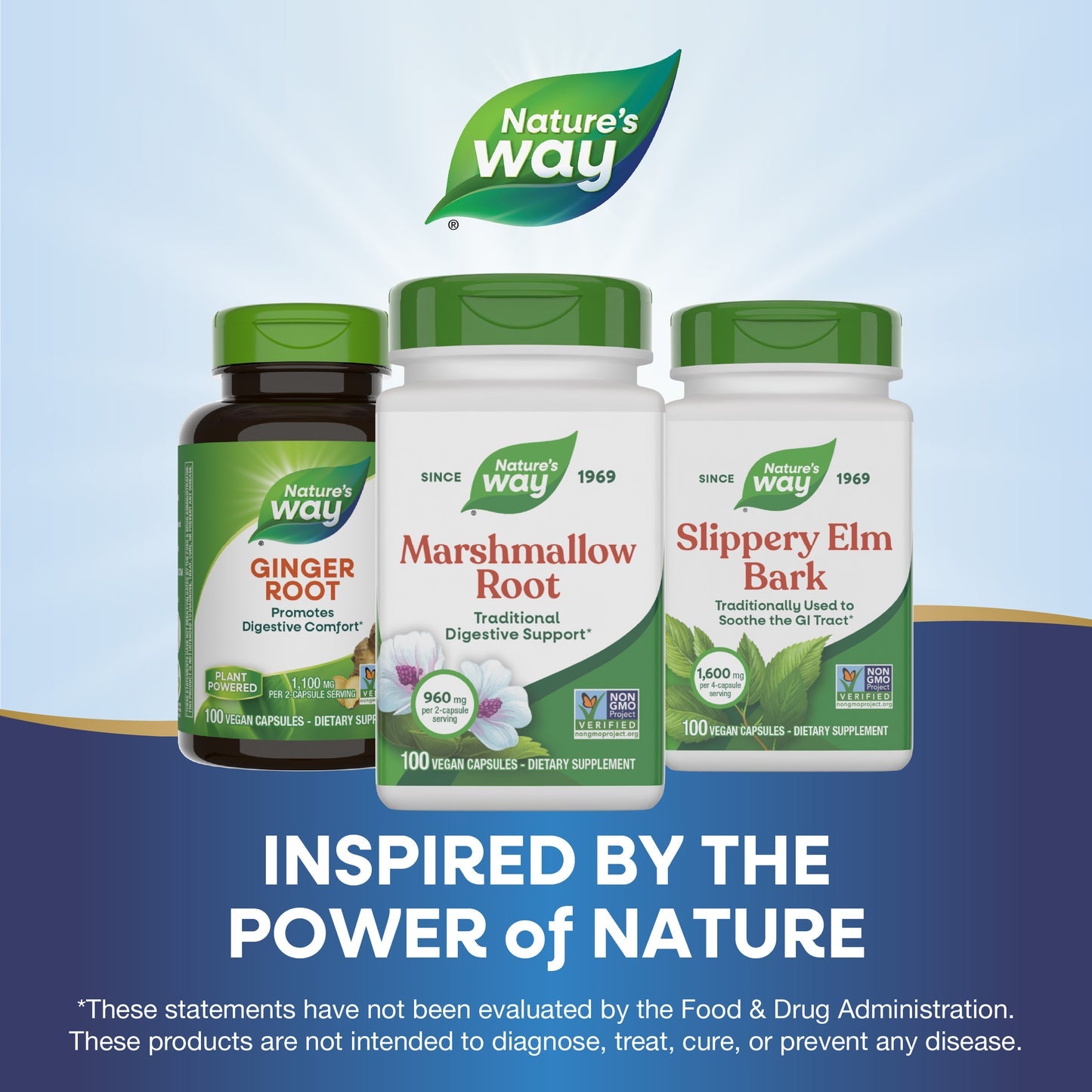 Nature's Way® Marshmallow Root | Raíz de Malvavisco | 100 Cápsulas Vegetales