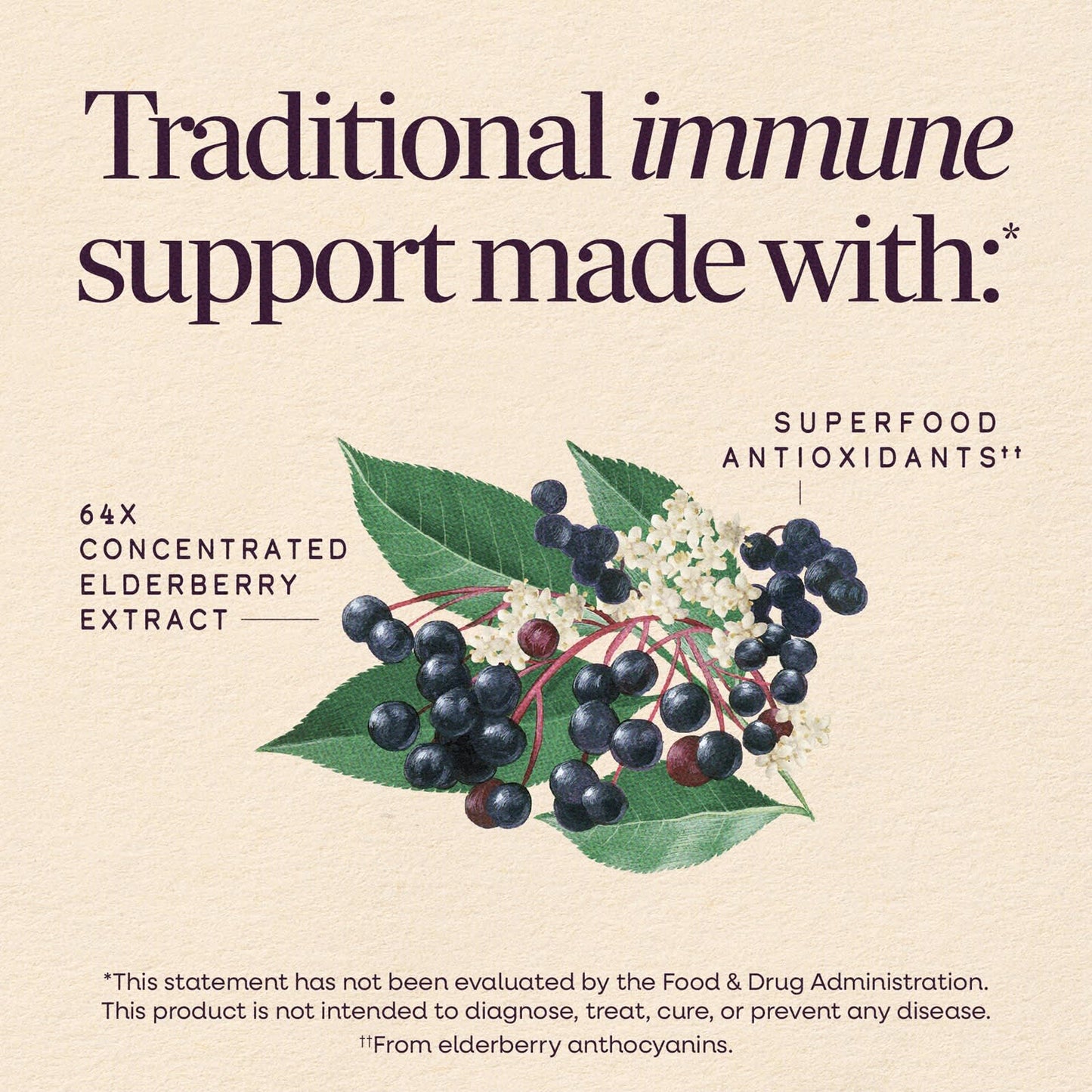 Nature's Way® Sambucus Traditional Immune Syrup | Jarabe de Saúco Negro | 8 fl oz (240 mL)