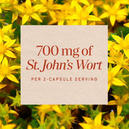 Nature's Way® St. John's Wort Herb | Hierba de San Juan | 100 Cápsulas Vegetales  SKU: 17300
