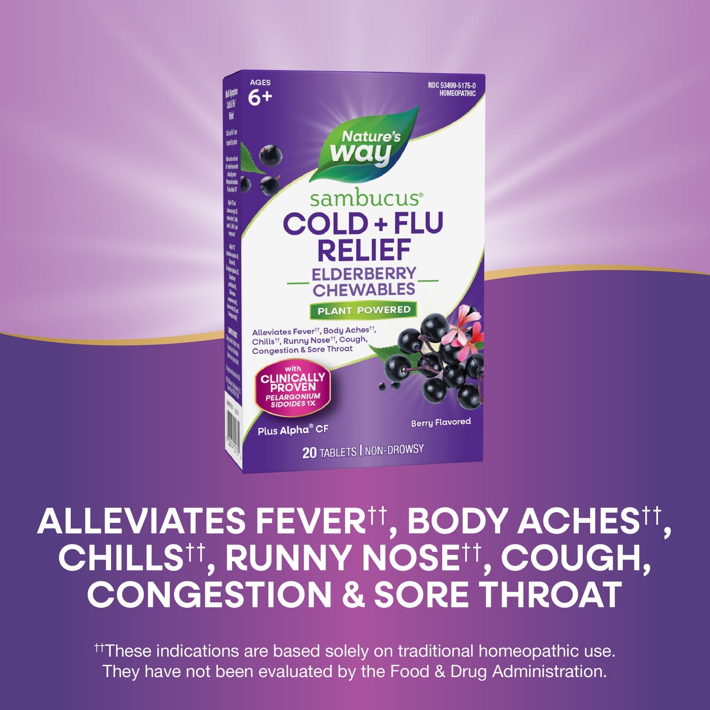Nature's Way® Sambucus Cold + Flu Relief Elderberry Chewables | Tabletas Masticables de Saúco para Resfriado y Gripe | Sabor Berry | 20 Tabletas