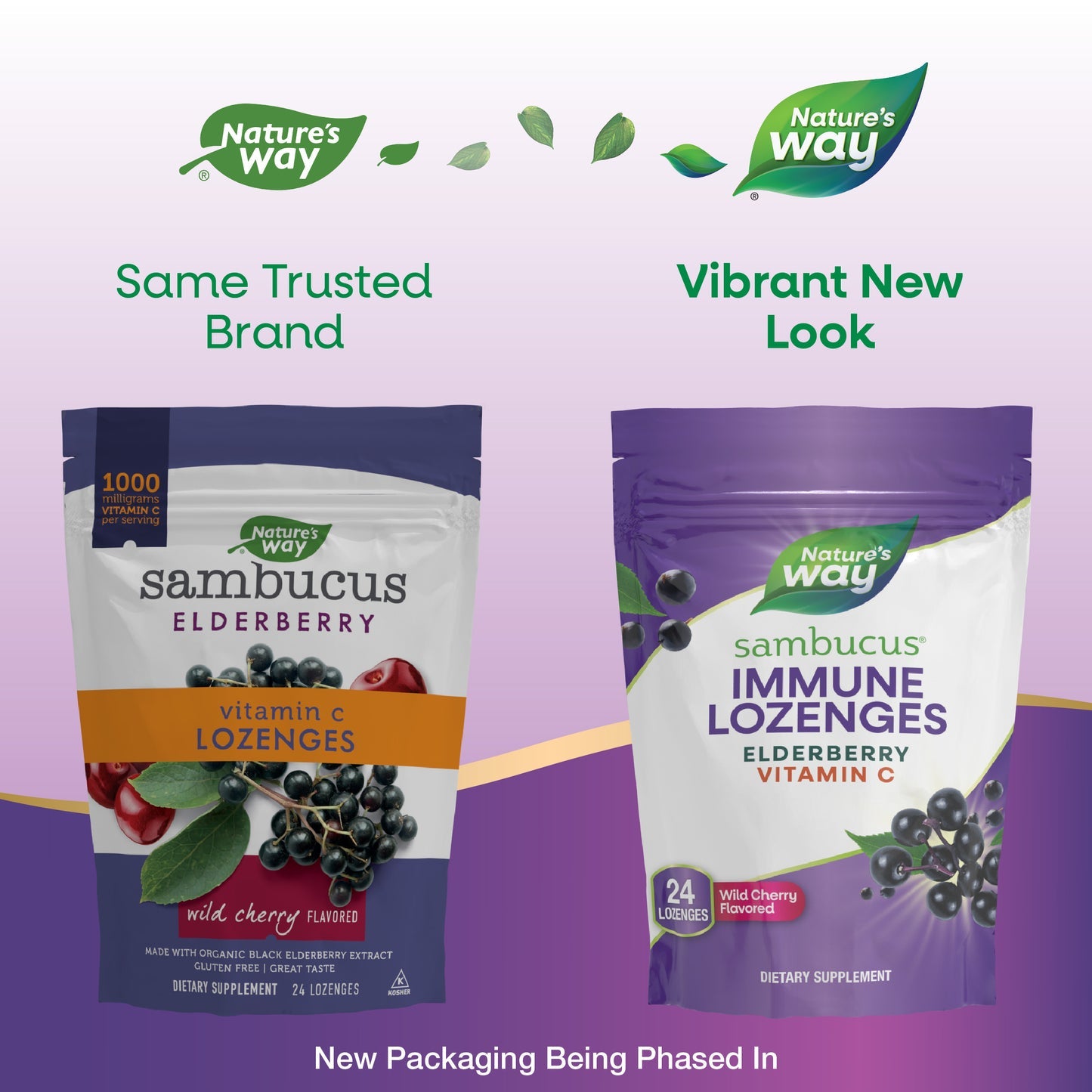 Nature's Way® Sambucus Immune Lozenges Mixed Berry | Pastillas para Chupar con Saúco Orgánico | 24 Pastillas