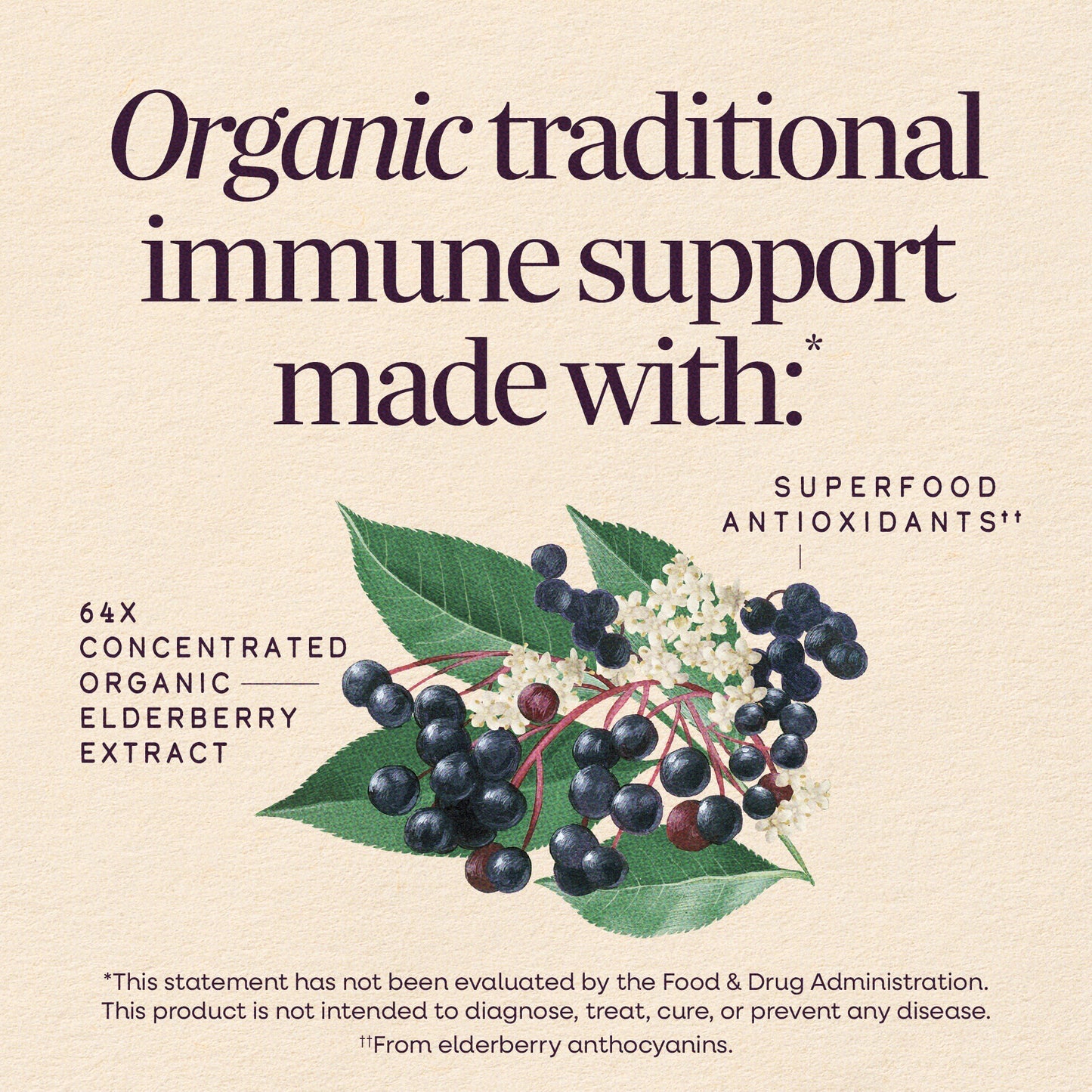 Nature's Way® Sambucus Traditional Immune Syrup | Jarabe Tradicional de Saúco Negro | 4 fl oz (120 mL)