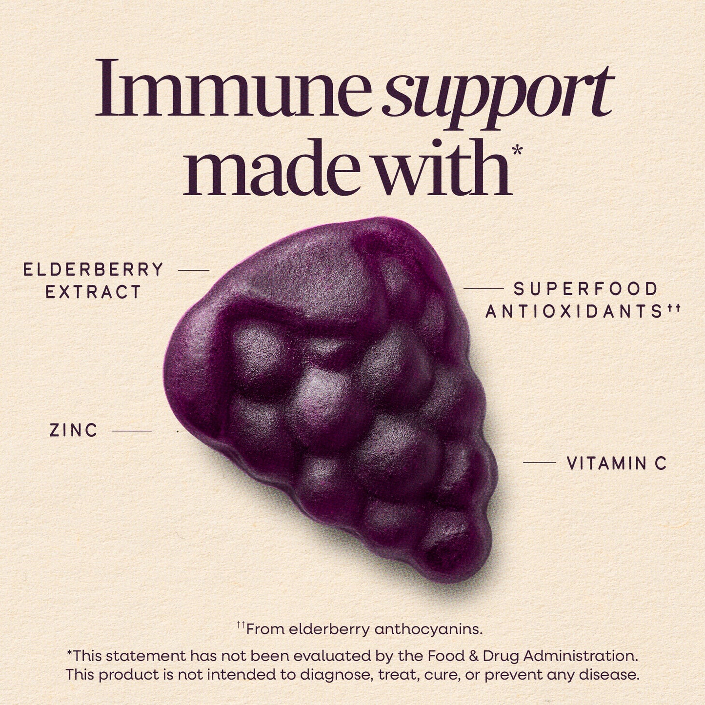 Nature's Way® Sambucus Kids Gummies | Saúco para Niños | 60 Gomitas