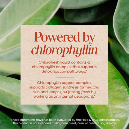 Nature's Way® Chlorofresh® Liquid Chlorophyll Unflavored | Clorofila Líquida Sin Sabor | 16 fl oz (480 mL)