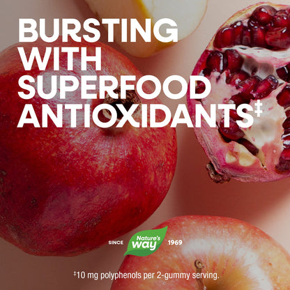 Nature's Way® Alive!® Multivitamínico para Hombres 50+ en Gomitas | Sabor Frutas | 60 Gomitas