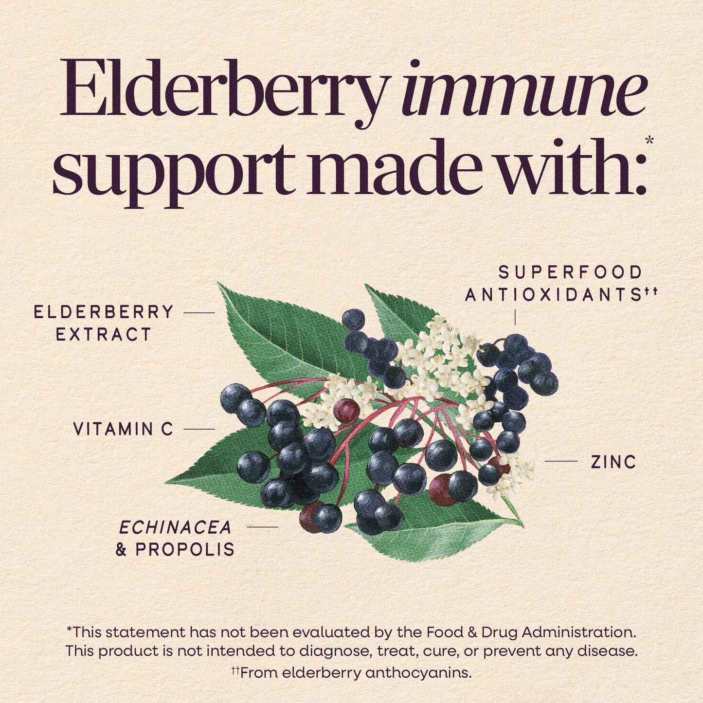 Nature's Way® Sambucus Immune Elderberry Syrup | Jarabe de Saúco para el Sistema Inmunológico | 4 fl oz (120 mL)