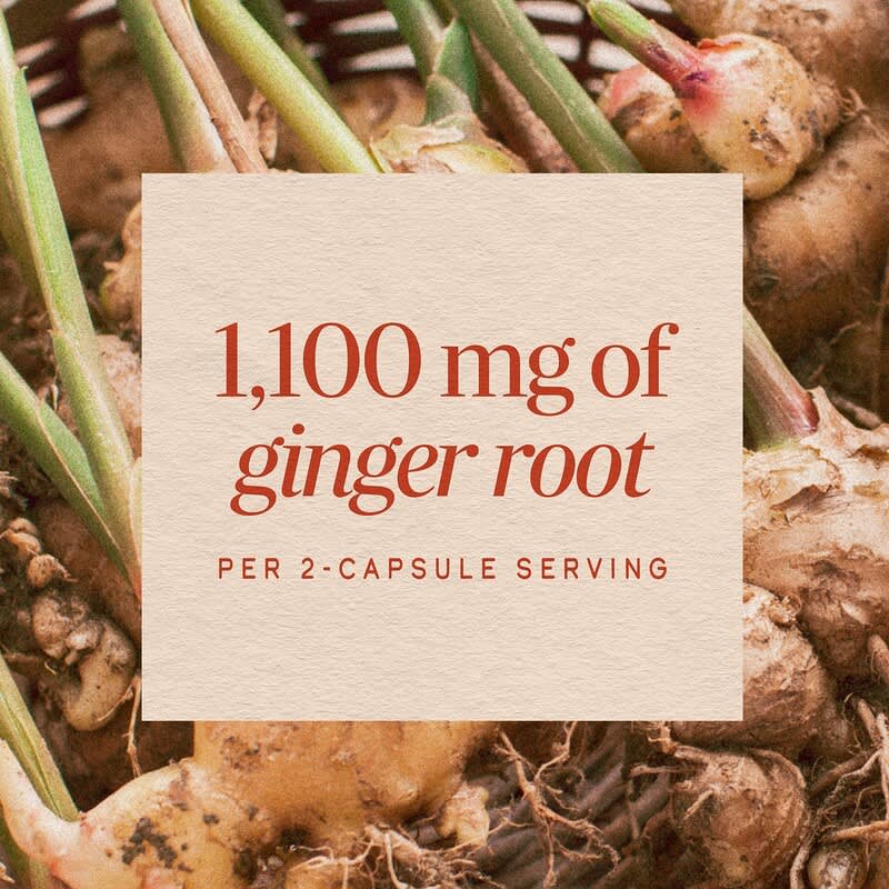 Nature's Way® Ginger Root | Raíz de Jengibre | 100 Cápsulas Vegetales